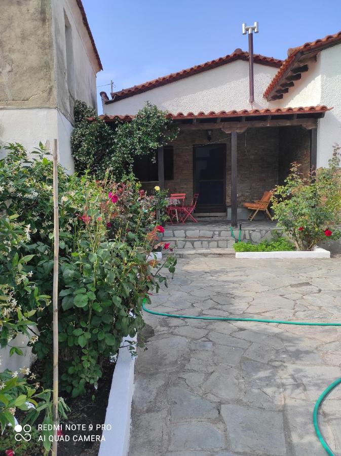 Detached House In Sykia Villa Екстериор снимка
