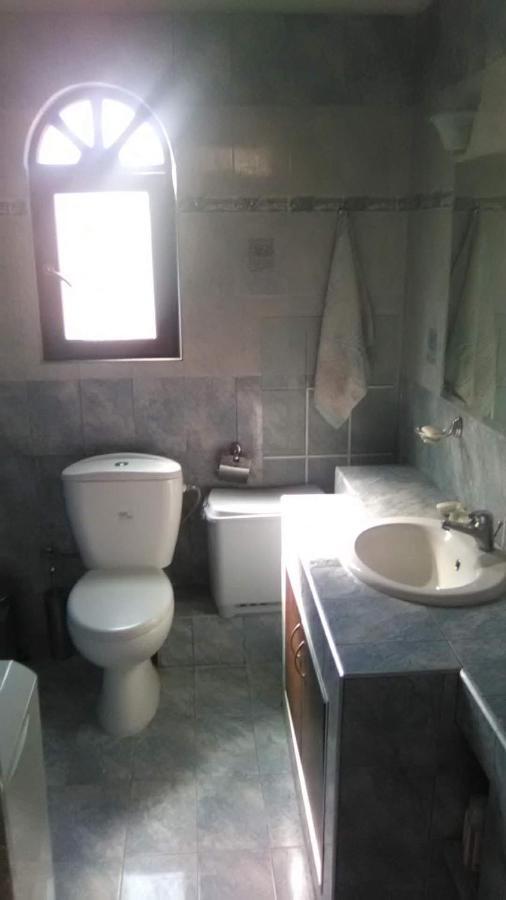 Detached House In Sykia Villa Екстериор снимка